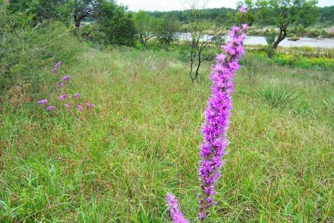 0 Settemeyer Road Mason TX 76856