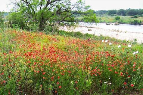 0 Settemeyer Road Mason TX 76856