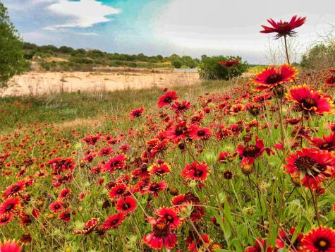 0 Settemeyer Road Mason TX 76856