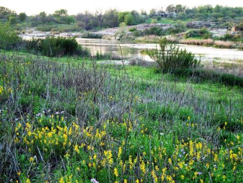 0 Settemeyer Road Mason TX 76856