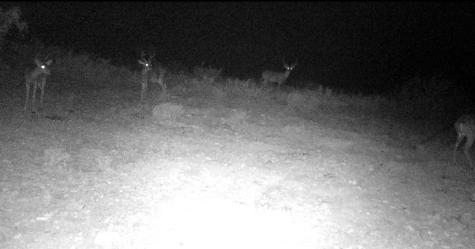 Lot 31 Hargrove Winters Road Comstock TX 78837