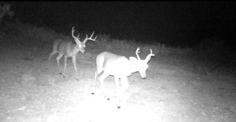 Lot 31 Hargrove Winters Road Comstock TX 78837