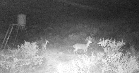 Lot 31 Hargrove Winters Road Comstock TX 78837