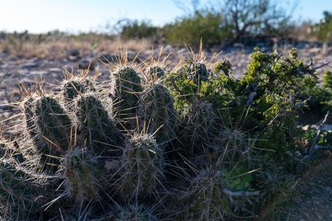 Lot 31 Hargrove Winters Road Comstock TX 78837