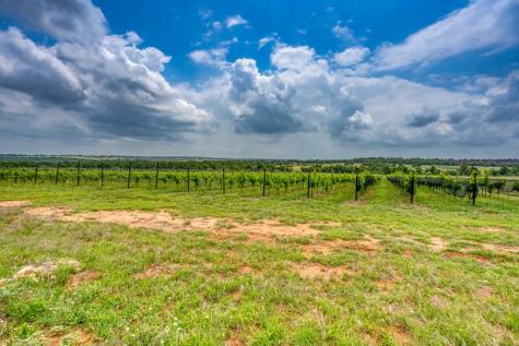 367 Weidenbach Road Fredericksburg TX 78624