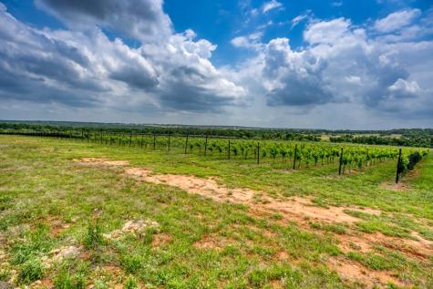 367 Weidenbach Road Fredericksburg TX 78624