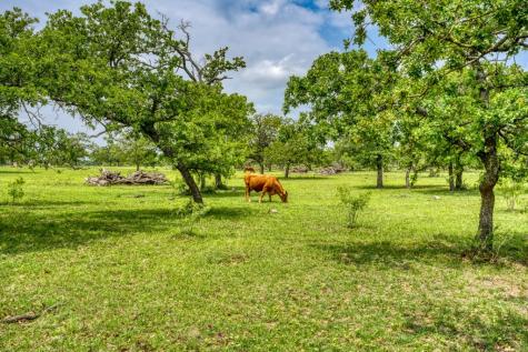 367 Weidenbach Road Fredericksburg TX 78624