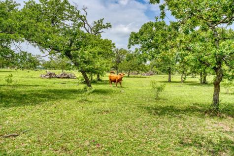 367 Weidenbach Road Fredericksburg TX 78624