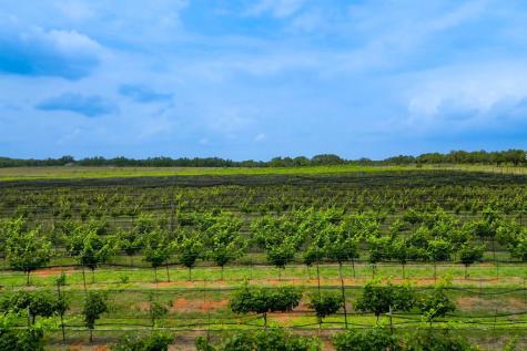367 Weidenbach Road Fredericksburg TX 78624