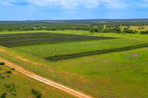 367 Weidenbach Road Fredericksburg TX 78624