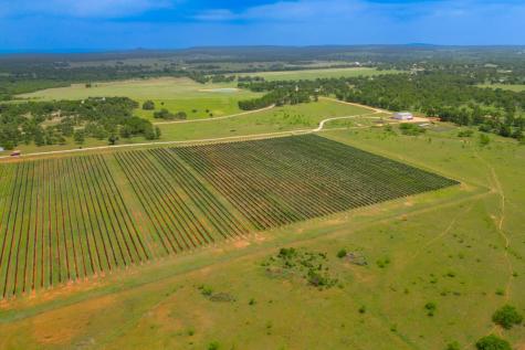 367 Weidenbach Road Fredericksburg TX 78624