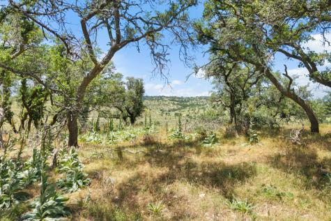 Tbd Kendalia Road Blanco TX 78606