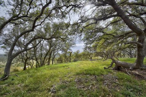Tbd Kendalia Road Blanco TX 78606
