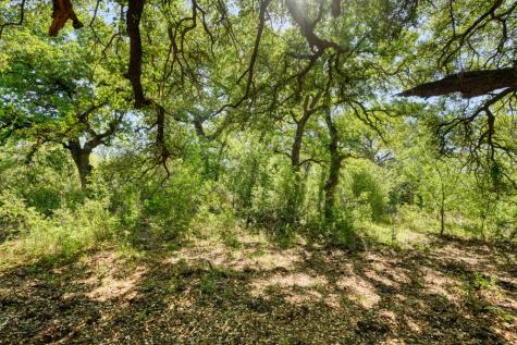 000 N County Road 402 Llano TX 78643