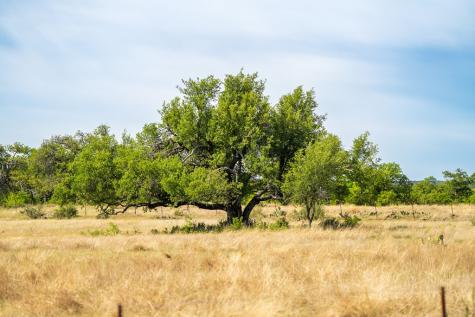 12350 N State Highway 16 Fredericksburg TX 78624