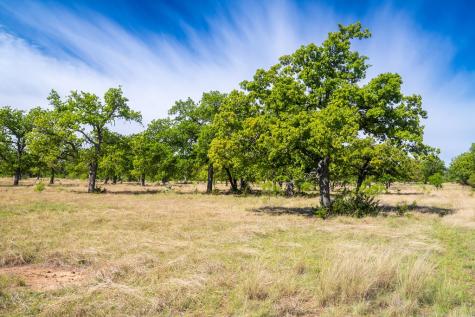 12350 N State Highway 16 Fredericksburg TX 78624