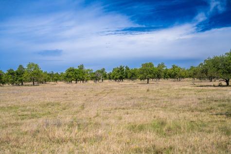 12350 N State Highway 16 Fredericksburg TX 78624