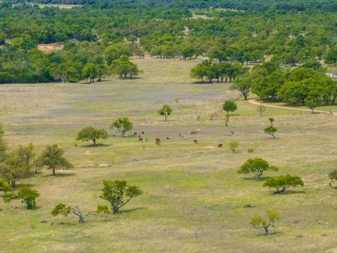 12350 N State Highway 16 Fredericksburg TX 78624