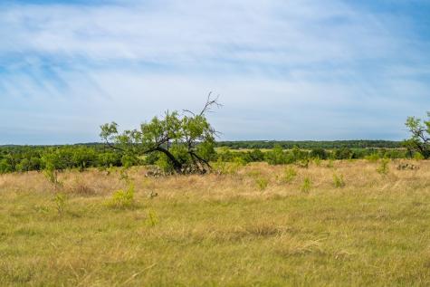 12350 N State Highway 16 Fredericksburg TX 78624