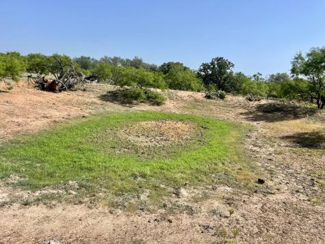 2204 Lange Polk Road Mason TX 76856