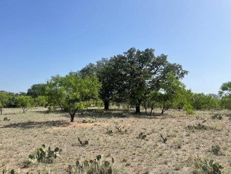 2204 Lange Polk Road Mason TX 76856