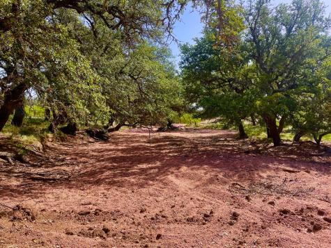 2204 Lange Polk Road Mason TX 76856