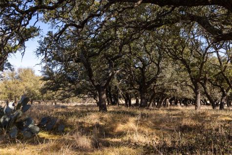 Lot 15 Legacy Oaks Drive Harper TX 78631