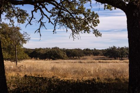 Lot 15 Legacy Oaks Drive Harper TX 78631