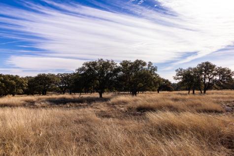 Lot 15 Legacy Oaks Drive Harper TX 78631