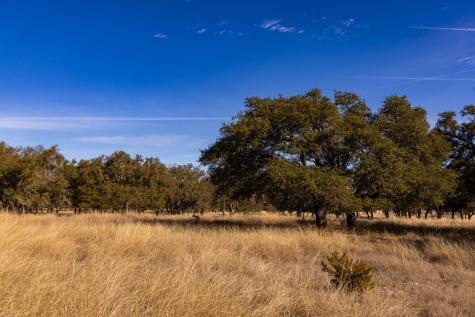 Lot 15 Legacy Oaks Drive Harper TX 78631