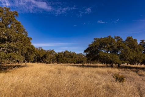 Lot 15 Legacy Oaks Drive Harper TX 78631