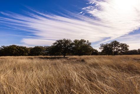 Lot 15 Legacy Oaks Drive Harper TX 78631