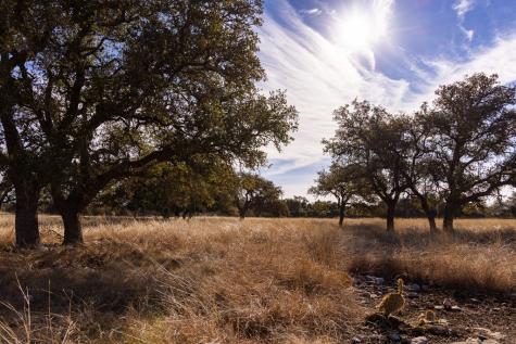 Lot 15 Legacy Oaks Drive Harper TX 78631