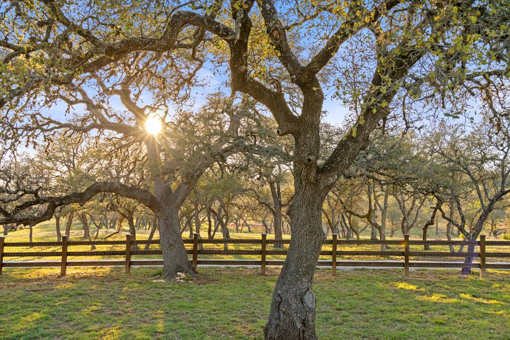 4827 Maenius Road Blanco TX 78606