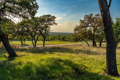 862 Grape Creek Road Fredericksburg TX 78624