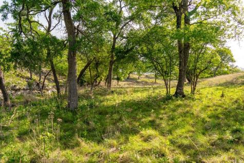 862 Grape Creek Road Fredericksburg TX 78624