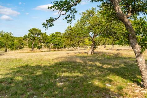 862 Grape Creek Road Fredericksburg TX 78624
