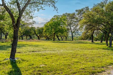 862 Grape Creek Road Fredericksburg TX 78624