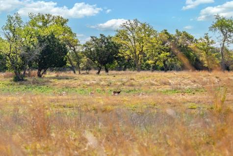 862 Grape Creek Road Fredericksburg TX 78624