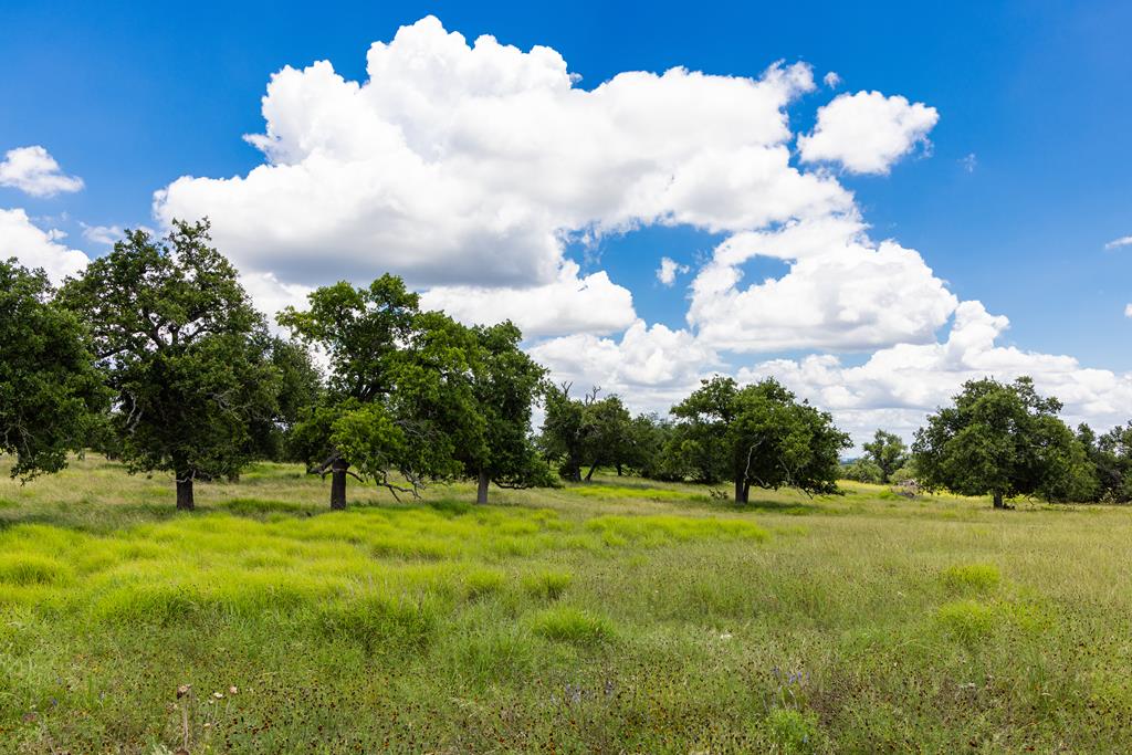 34 N Gretchen Grove Lane Fredericksburg TX 78624