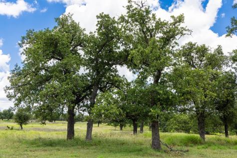 34 N Gretchen Grove Lane Fredericksburg TX 78624