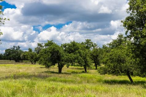 34 N Gretchen Grove Lane Fredericksburg TX 78624