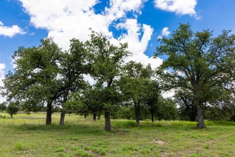 34 N Gretchen Grove Lane Fredericksburg TX 78624