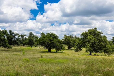 34 N Gretchen Grove Lane Fredericksburg TX 78624