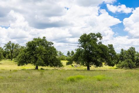 34 N Gretchen Grove Lane Fredericksburg TX 78624