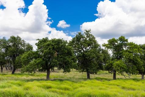 34 N Gretchen Grove Lane Fredericksburg TX 78624