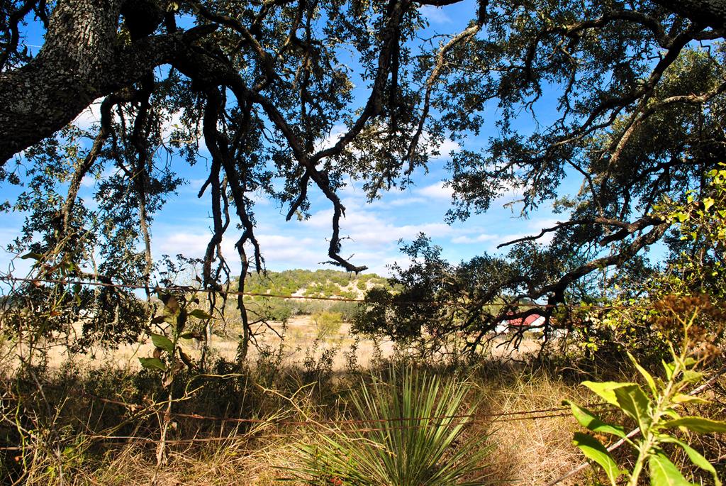 99 Grove Court Fredericksburg TX 78624