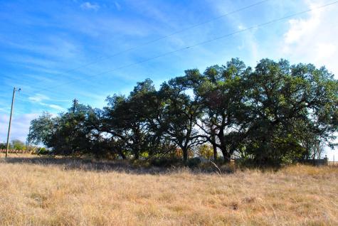 99 Grove Court Fredericksburg TX 78624