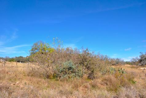 99 Grove Court Fredericksburg TX 78624
