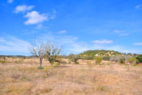 99 Grove Court Fredericksburg TX 78624